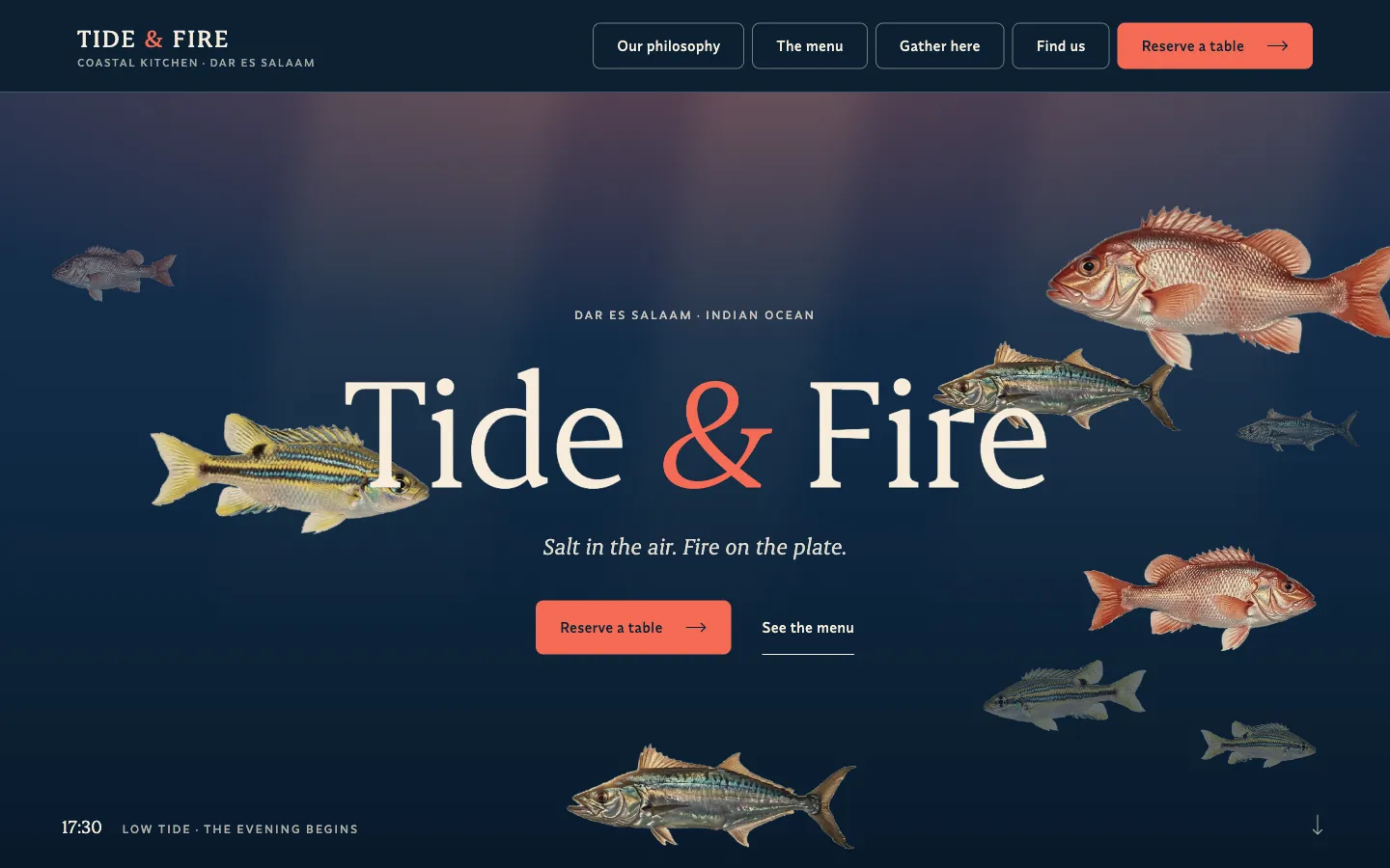 TIDE & FIRE website overview